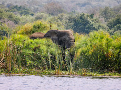 Twiga Safari Lodge, Twiga Safari Lodge photo