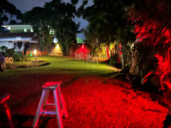 Spring Time Bar And Gardens, Spring Time Bar and Gardens photo