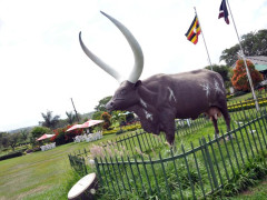 Igongo Country Hotel And Cultural Centre, Igongo Country Hotel and Cultural Centre photo
