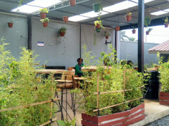 Murphy's Lounge, Murphy's Lounge photo