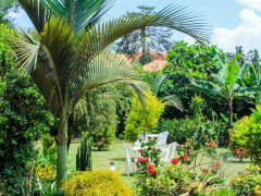 The Streamside Park, The Streamside Park photo