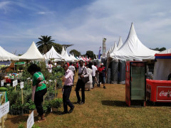 Mutesa II Stadium Wankulukuku, Mutesa II Stadium Wankulukuku photo