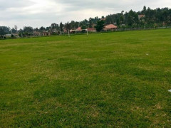 Kakyeka Stadium, kakyeka Stadium photo