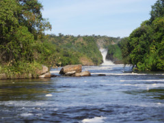 Pakuba Safari Lodge, Pakuba Safari Lodge photo