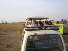 Pakuba Safari Lodge, Pakuba Safari Lodge photo