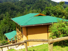 Ichumbi Gorilla Lodge, Ichumbi Gorilla Lodge photo