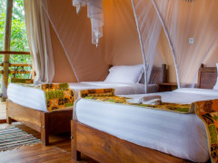 Ichumbi Gorilla Lodge Rooms, Ichumbi Gorilla Lodge photo