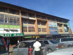 Forest Mall, Forest Mall photo