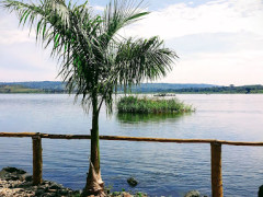 Jinja Golf Course, Jinja Golf Course photo