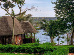 Forest Gate Lodges Gallery, Buweera Forest Gate Lodges photo