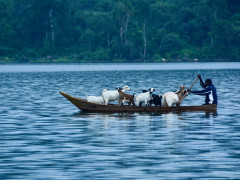 Forest Gate Lodges Gallery, Buweera Forest Gate Lodges photo