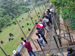 Ngamba Island, Ngamba Island photo
