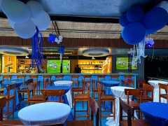 Blue Moon, Blue Moon photo