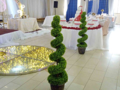 Colline Hotel, Colline Hotel photo