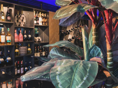 Escape Lounge, Escape Lounge photo