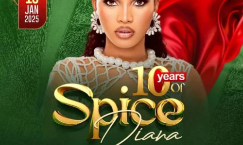 10 YEARS OF SPICE DIANA