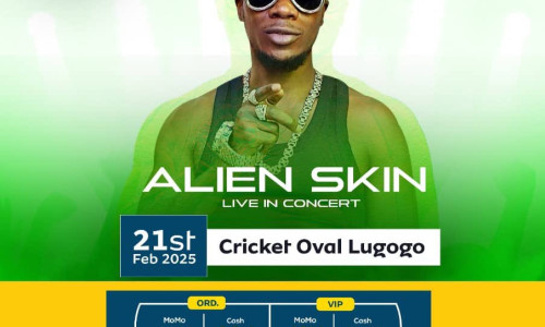 Alien Skin Live in Concert