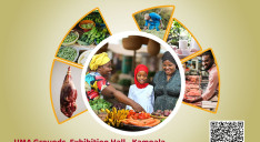 🌿 EBYE NDIISA EXPO 2026 EJJA! 🥕🍅🥬