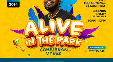 Alive In The Park