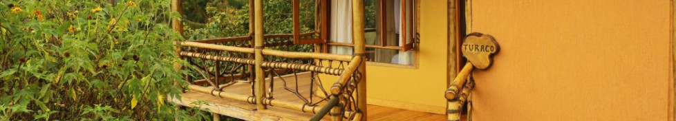 Ichumbi Gorilla Lodge 