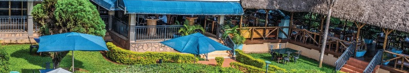 Dolphin Suites 