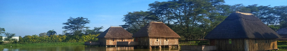 Nyasi Eco Resort, Kajjansi 